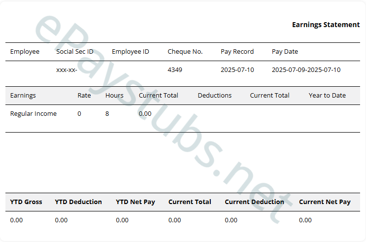 Template 2 pay stub preview