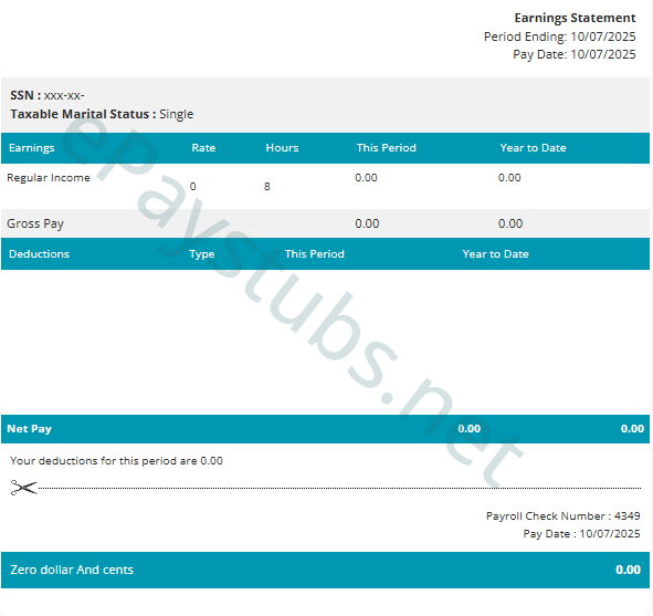 Template 3 pay stub preview