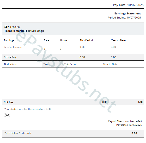 Template 4 pay stub preview