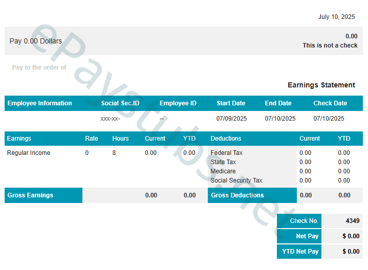 Template 5 pay stub preview