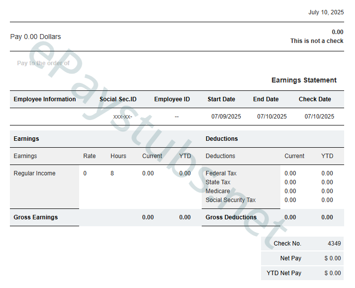 Template 6 pay stub preview
